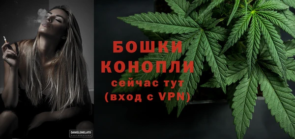МДПВ Дмитров