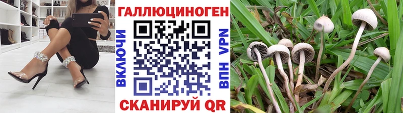 Псилоцибиновые грибы прущие грибы  где можно купить   Красногорск 